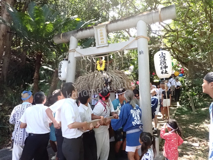 2026年 小笠原神社例大祭の御礼とご報告
